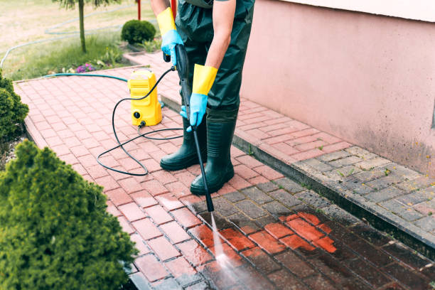 Best Playground Equipment Cleaning  in Manton, MI